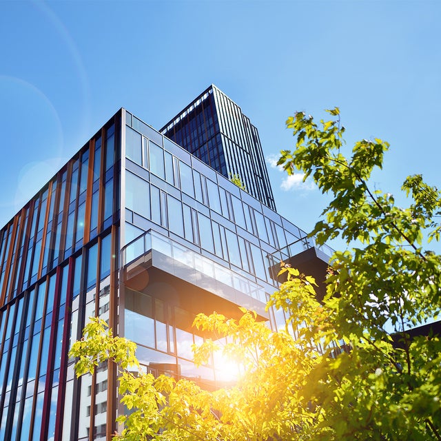 The picture shows a modern office building on a sunny day. The building is in the centre of the picture and takes up most of the frame. It has a glass and metal façade that reflects the daylight. The structure of the building consists of several rectangular glass windows separated by vertical and horizontal metal struts. The metal struts are in different colours, giving the façade a lively and modern look. In the foreground, at the bottom right of the picture, you can see a tree whose green leaves are brightly illuminated by the sunlight. The leaves partially cover the bottom right corner of the building. The sky is clear and blue with only a few small clouds in the top left of the picture. The sun's rays create lens effects that can be seen as bright, circular reflections in the picture. In the upper left area of the picture, at the edge of the building, a few plants can be seen on a roof garden, bringing a touch of nature into the otherwise urban picture.