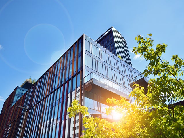 The picture shows a modern office building on a sunny day. The building is in the centre of the picture and takes up most of the frame. It has a glass and metal façade that reflects the daylight. The structure of the building consists of several rectangular glass windows separated by vertical and horizontal metal struts. The metal struts are in different colours, giving the façade a lively and modern look. In the foreground, at the bottom right of the picture, you can see a tree whose green leaves are brightly illuminated by the sunlight. The leaves partially cover the bottom right corner of the building. The sky is clear and blue with only a few small clouds in the top left of the picture. The sun's rays create lens effects that can be seen as bright, circular reflections in the picture. In the upper left area of the picture, at the edge of the building, a few plants can be seen on a roof garden, bringing a touch of nature into the otherwise urban picture.