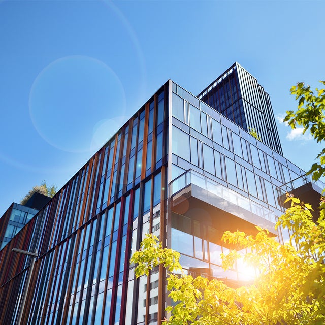 The picture shows a modern office building on a sunny day. The building is in the centre of the picture and takes up most of the frame. It has a glass and metal façade that reflects the daylight. The structure of the building consists of several rectangular glass windows separated by vertical and horizontal metal struts. The metal struts are in different colours, giving the façade a lively and modern look. In the foreground, at the bottom right of the picture, you can see a tree whose green leaves are brightly illuminated by the sunlight. The leaves partially cover the bottom right corner of the building. The sky is clear and blue with only a few small clouds in the top left of the picture. The sun's rays create lens effects that can be seen as bright, circular reflections in the picture. In the upper left area of the picture, at the edge of the building, a few plants can be seen on a roof garden, bringing a touch of nature into the otherwise urban picture.