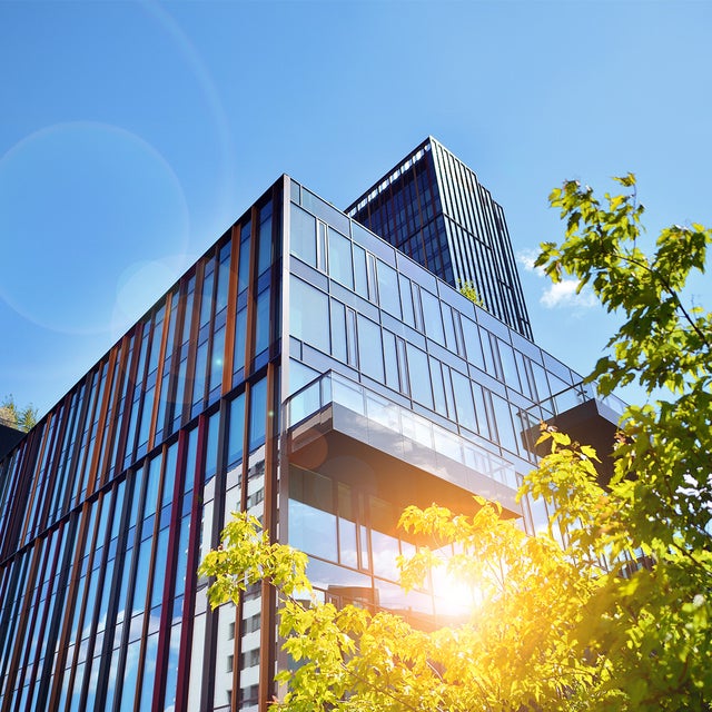 The picture shows a modern office building on a sunny day. The building is in the centre of the picture and takes up most of the frame. It has a glass and metal façade that reflects the daylight. The structure of the building consists of several rectangular glass windows separated by vertical and horizontal metal struts. The metal struts are in different colours, giving the façade a lively and modern look. In the foreground, at the bottom right of the picture, you can see a tree whose green leaves are brightly illuminated by the sunlight. The leaves partially cover the bottom right corner of the building. The sky is clear and blue with only a few small clouds in the top left of the picture. The sun's rays create lens effects that can be seen as bright, circular reflections in the picture. In the upper left area of the picture, at the edge of the building, a few plants can be seen on a roof garden, bringing a touch of nature into the otherwise urban picture.