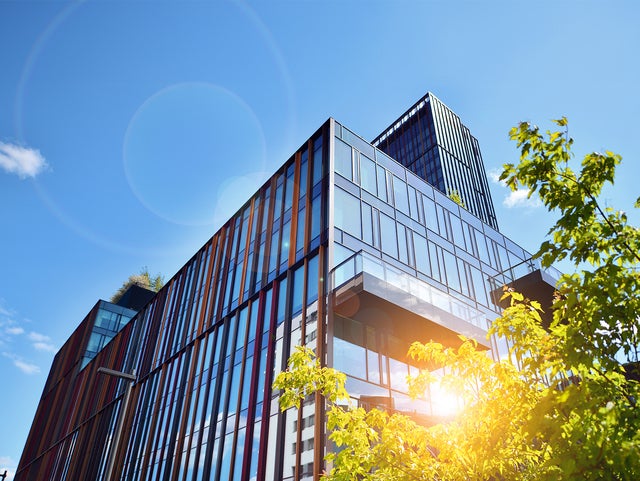 The picture shows a modern office building on a sunny day. The building is in the centre of the picture and takes up most of the frame. It has a glass and metal façade that reflects the daylight. The structure of the building consists of several rectangular glass windows separated by vertical and horizontal metal struts. The metal struts are in different colours, giving the façade a lively and modern look. In the foreground, at the bottom right of the picture, you can see a tree whose green leaves are brightly illuminated by the sunlight. The leaves partially cover the bottom right corner of the building. The sky is clear and blue with only a few small clouds in the top left of the picture. The sun's rays create lens effects that can be seen as bright, circular reflections in the picture. In the upper left area of the picture, at the edge of the building, a few plants can be seen on a roof garden, bringing a touch of nature into the otherwise urban picture.