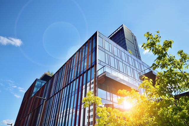 The picture shows a modern office building on a sunny day. The building is in the centre of the picture and takes up most of the frame. It has a glass and metal façade that reflects the daylight. The structure of the building consists of several rectangular glass windows separated by vertical and horizontal metal struts. The metal struts are in different colours, giving the façade a lively and modern look. In the foreground, at the bottom right of the picture, you can see a tree whose green leaves are brightly illuminated by the sunlight. The leaves partially cover the bottom right corner of the building. The sky is clear and blue with only a few small clouds in the top left of the picture. The sun's rays create lens effects that can be seen as bright, circular reflections in the picture. In the upper left area of the picture, at the edge of the building, a few plants can be seen on a roof garden, bringing a touch of nature into the otherwise urban picture.