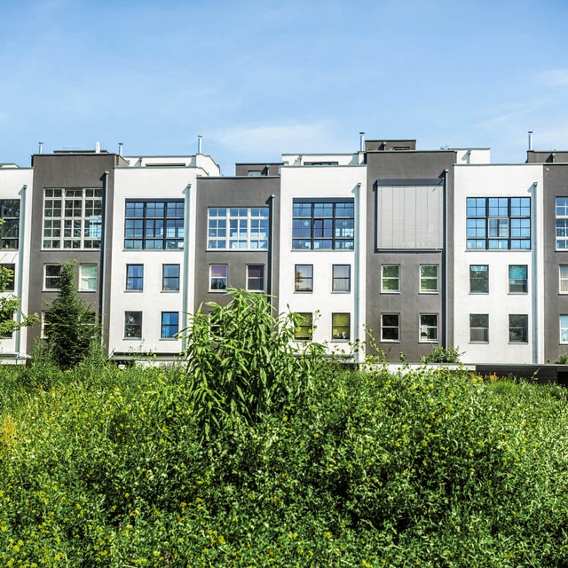 The picture shows a row of narrow but tall terraced houses. The terraced houses have alternating grey and white façades. On the left you can see a house with a white façade and on the far right a house with a grey façade. They are also always built at different heights, so that there are never two houses of the same height next to each other. All the houses have a large square window front in the upper half, consisting of 30 small square windows. The window front of the fourth house from the right is the only one covered by a blind. All of the houses have four individual windows under the fronts, with two on the left and two on the right below each other. Above the houses you can see the almost completely cloudless blue sky. In the foreground in front of the houses you can see a lawn with many bushes and a total of four trees, three of which can be seen on the left at the edge of the picture and one tree on the right.