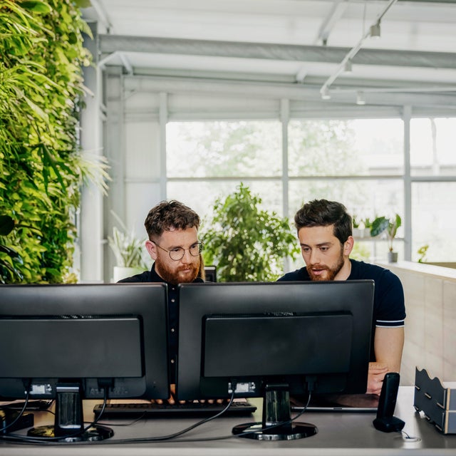 The picture shows a light-flooded part of an office space. Two men can be seen sitting at a desk directly in the foreground, stretching from left to right in the lower third of the picture. The man sitting on the left has short, dark brown and curly hair, a brown-red beard, wears round glasses with black frames and a black shirt. The man to his right has almost black short hair, a brownish beard and is wearing a black T-shirt. Both men are looking at the two monitors on the desk in front of them. Both men are looking at the carbon audit provided by ista on these monitors. To the left of the monitors on the desk is a black printer. To the right of the monitors is a telephone and next to it, on the right-hand edge, two letter trays are stacked. In the background you can see a wall consisting of large windows that stretches from the first left third of the picture to the right edge. In addition, the ceiling, which can be seen in the upper part of the picture, also consists of the same large windows. On the right-hand side of the picture, a dark brown, approximately waist-high room divider can be seen, which bends to the right once. Six plants can be seen on the room divider and behind it. To the left of the picture, directly next to the man on the left, is a wall consisting entirely of green plants.